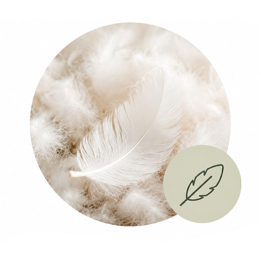 Down & Feather