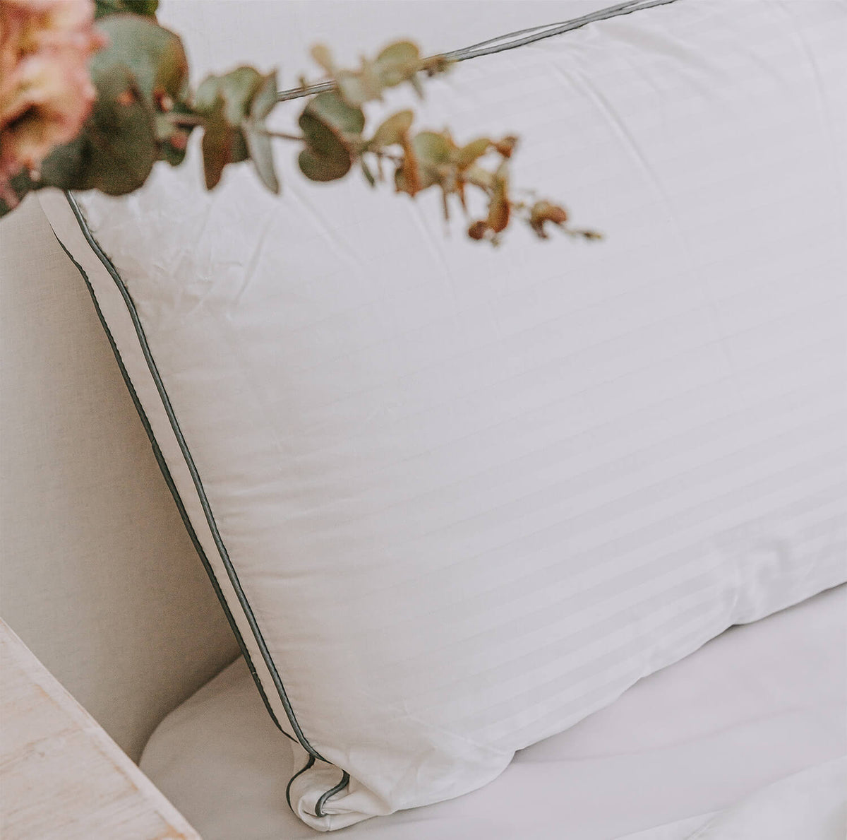 Corn Fibre Pillow