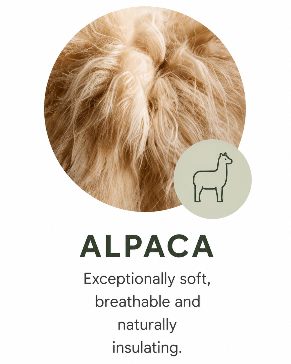 Alpaca