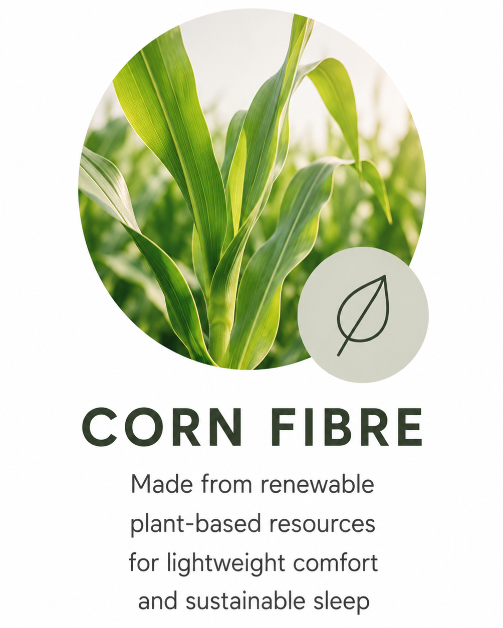 Corn Fibre