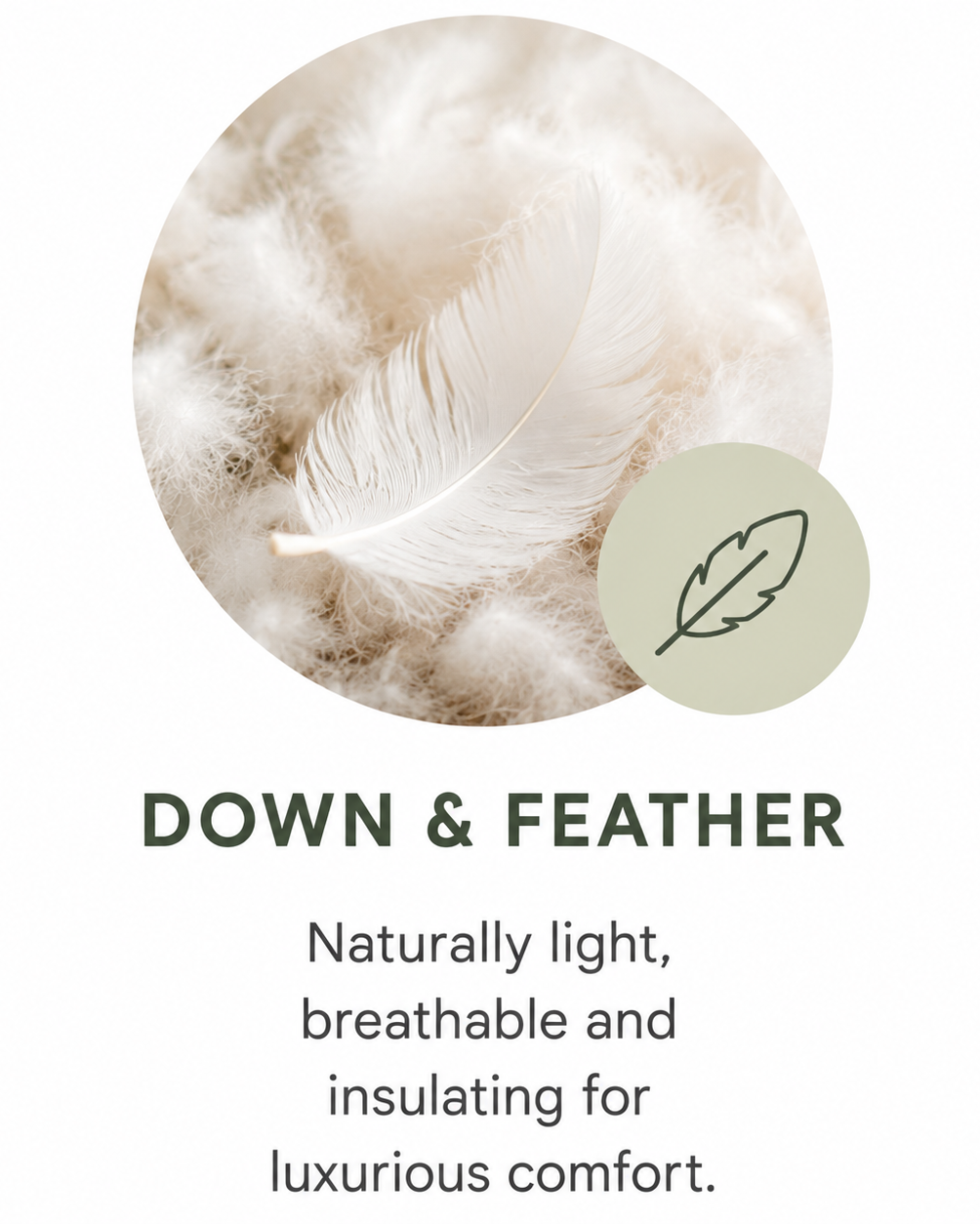 Down & Feather