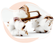 COTTON