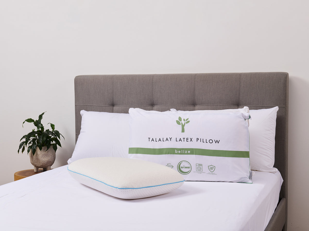Talalay Latex Pillow
