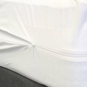 encasement mattress