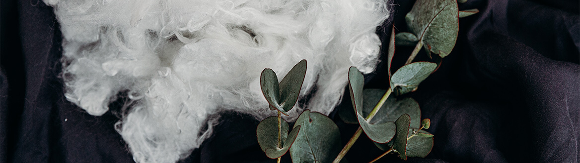 cotton fibres with plants